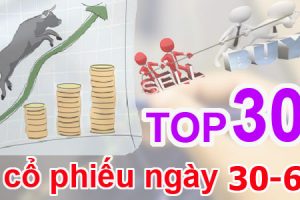 Top cổ phiếu mạnh nhất trên thị trường chứng khoán ngày 30/6/2017