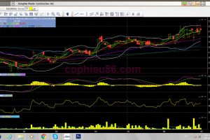 Phân tích cổ phiếu DNP: Năm thứ 4 liên tiếp DNP trả cổ tức bằng cổ phiếu