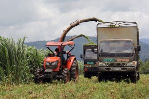 Phân tích cổ phiếu HAG: Ước tính giá trị hợp lý của cổ phiếu là 17.420đ