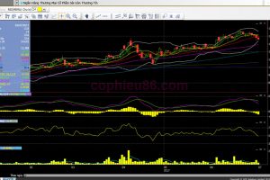 Phân tích cổ phiếu STB: Dự báo LNTT sẽ gần như bằng 0