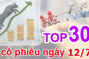 Top cổ phiếu mạnh nhất trên thị trường chứng khoán ngày 12/7/2017