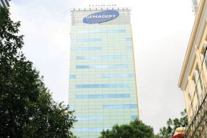 GMD lãi 100 tỷ đồng bất thường, có thể trả cổ tức đặc biệt với tỷ lệ 85%