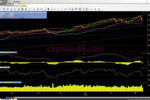 Phân tích – nhận định thị trường chứng khoán ngày 11/8/2017
