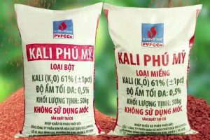 Phân tích cổ phiếu DPM: Ước tính giá trị hợp lý của cổ phiếu là 28.000đ