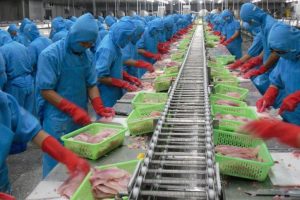 CTCP Vĩnh Hoàn – Doanh thu tháng 12/2021 vượt dự báo.Tăng tỷ trọng | Giá mục tiêu VND73,000