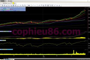 Phân tích, nhận định TTCK ngày 01/12: Giằng co đi ngang quanh mốc 950