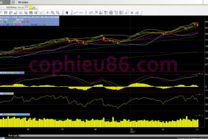 Phân tích, nhận định TTCK ngày 03/11: Thử thách hỗ trợ cứng 830 điểm
