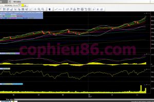 Phân tích, nhận định TTCK ngày 14/11: Điểm tăng, cổ phiếu phân hóa