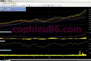 Phân tích, nhận định TTCK ngày 21/11: Hãy thận trọng, rủi ro đã tăng cao