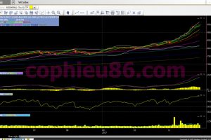 Phân tích, nhận định TTCK ngày 30/11: Liệu thị trường còn tăng nhờ SAB?