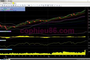 Phân tích, nhận định TTCK tuần từ 13/11 – 17/11: VRE giúp vượt mốc 870