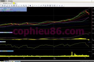 Phân tích, nhận định TTCK ngày 12/12: Cầm tiền vẫn là thượng sách