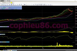 Phân tích, nhận định TTCK ngày 15/12: Chưa có một xu hướng rõ ràng