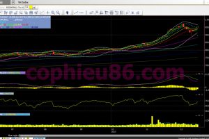 Phân tích, nhận định TTCK ngày 19/12: Tiền lớn tiếp tục chảy vào bluechip