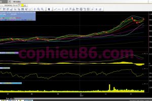 Phân tích, nhận định TTCK ngày 20/12: Thị trường sẽ phục hồi trở lại