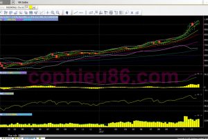Phân tích, nhận định TTCK tuần 02/01-05/01: Chào đón mốc 1000 điểm