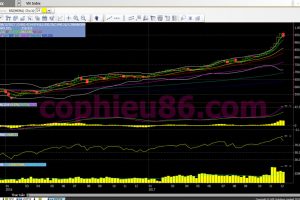 Phân tích, nhận định TTCK tuần 11/12–15/12: Thị trường sẽ cân bằng hơn