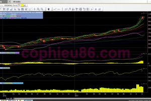 Phân tích, nhận định TTCK tuần 18/12-22/12: Tăng lên vùng 940-950 điểm