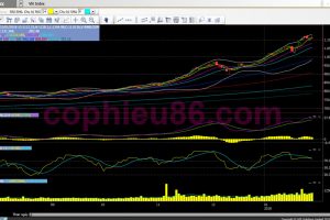 Nhận định thị trường ngày 01/02: Giằng co trong khoảng 1.100-1.120 điểm