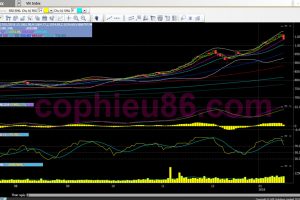 Phân tích, nhận định TT ngày 18/01: Sẽ không còn hiện tượng bán tháo