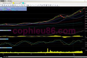 Phân tích, nhận định TT ngày 30/01: Phiên thử thách quan trọng