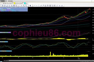 Phân tích, nhận định TT ngày 31/01: Cần tích lũy để củng cố vùng giá cao