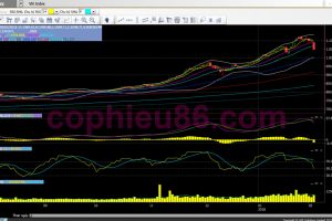 Phân tích, nhận định thị trường ngày 06/02: Hết cơn hoảng loạn bán tháo