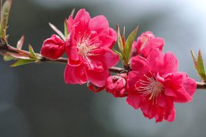 Phân tích, nhận định TTCK ngày 22/02: Áp lực chốt lời vùng giá cao