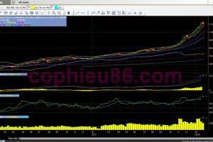 Phân tích, nhận định TTCK tuần 05/02-09/02: Tiếp tục cảnh “chợ chiều”