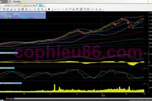 Phân tích, nhận định TT ngày 02/03: Giằng co ở biên độ 1.110-1.130 điểm