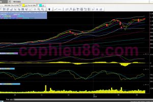 Phân tích, nhận định TT ngày 13/03: Vẫn nỗ lực tăng điểm nhằm vượt đỉnh
