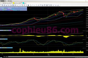 Phân tích, nhận định TT ngày 23/03: Nhà đầu tư nên cẩn thận “củi lửa”