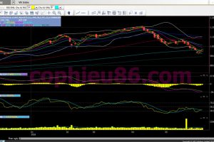 Phân tích, nhận định TT ngày 01/06: Phiên xác nhận thị trường tạo đáy