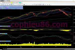 Phân tích, nhận định TT ngày 11/05: Có thể tạo đáy 2 tại mốc 1.004 điểm