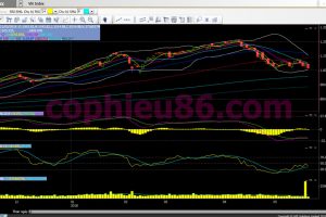 Phân tích, nhận định TT ngày 22/05: Có thể là một phiên phục hồi nhẹ