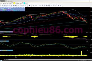 Phân tích, nhận định TT ngày 30/05:  Phiên xác định xu hướng ngắn hạn