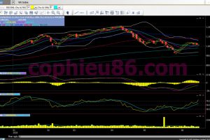 Phân tích, nhận định TT ngày 18/06: Giằng co trong vùng 1020-1045 điểm