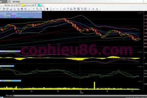 Phân tích, nhận định TT ngày 13/07: Kiểm tra ngưỡng kháng cự 900 điểm