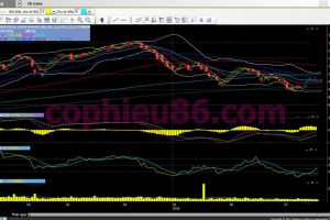 Phân tích, nhận định TT ngày 31/07: Liệu có vượt qua kháng cự mốc 962?