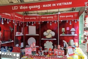 Phân tích cổ phiếu DQC: Ước tính giá trị hợp lý của cổ phiếu là 33.000