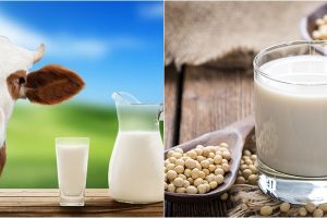 Cập nhật cổ phiếu QNS: Mảng sữa đậu nành hồi phục tốt hơn dự báo.