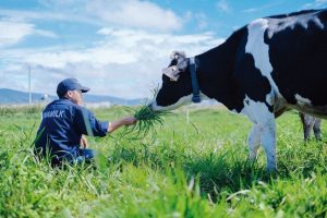 VNM: Triển vọng tăng trưởng của VNM không khả quan