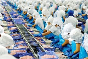 Cập nhật cổ phiếu VHC: Kỳ vọng giá bán bình quân sẽ phục hồi trong Q3/2020.