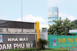 DPM: Triển vọng phục hồi trong năm 2020