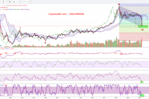 Góc Nhìn Đầu Tư : Đánh giá tác động của dịch bệnh Covid -19 đến kinh tế vĩ mô.