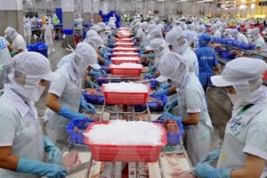 Cập nhật cổ phiếu ANV: Thu hẹp biên độ giảm nhờ thị trường ASEAN.