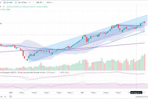 MARKET STRATEGY WEEKLY: CƠ HỘI CHO NHÓM CỔ PHIẾU NGÂN HÀNG !