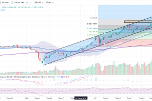 MARKET STRATEGY WEEKLY: DÒNG TIỀN TẬP TRUNG Ở MIDCAP & SMALL CAP!